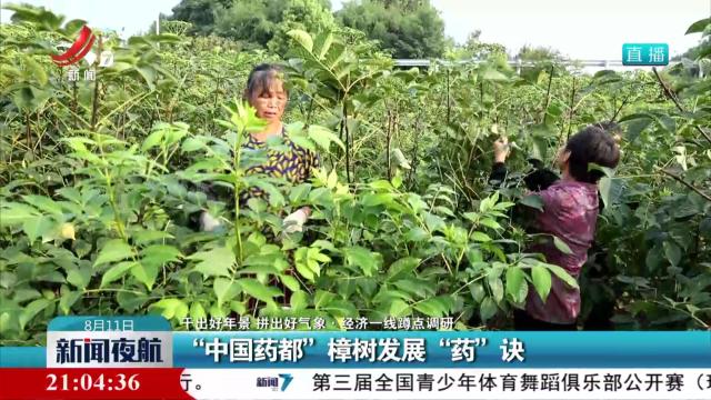 【干出好年景 拼出好气象·经济一线蹲点调研】“中国药都”樟树发展“药”诀
