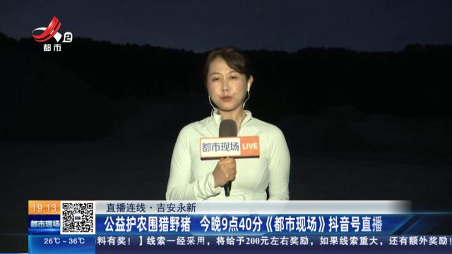 【直播连线】吉安永新：公益护农围猎野猪 今晚9点40分《都市现场》抖音号直播