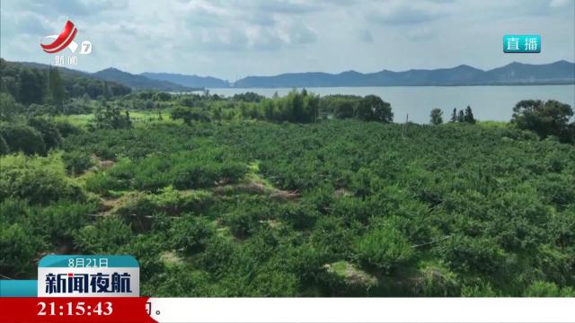 特色农产品丰收 助力农民增收