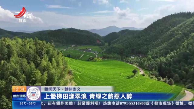 【赣闻天下】赣州崇义：上堡梯田漾翠浪 青绿之韵惹人醉