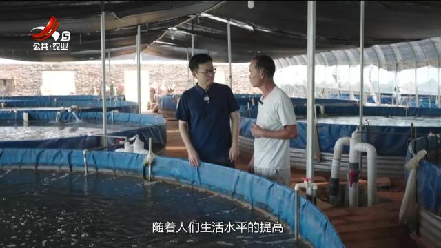 赣出精彩20250815