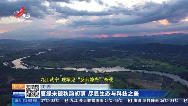 都市现场20250831