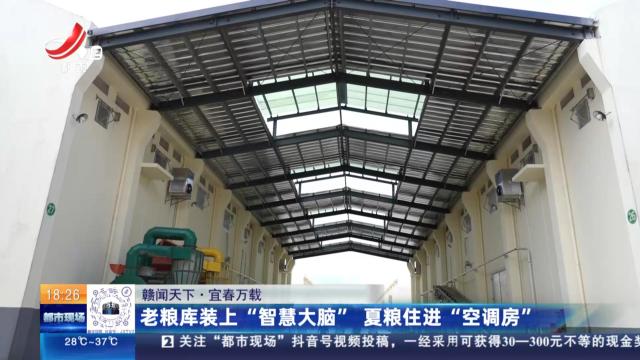 都市现场20250809