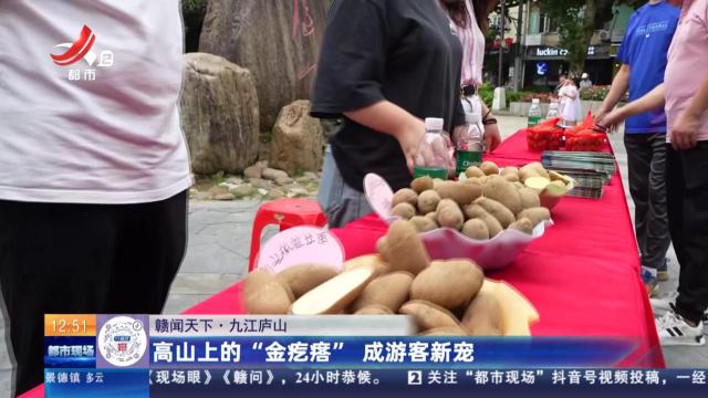 【赣闻天下】九江庐山：高山上的“金疙瘩” 成游客新宠