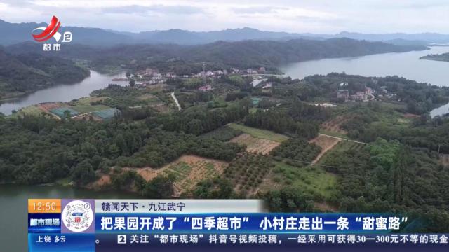 【赣闻天下】九江武宁：把果园开成了“四季超市” 小村庄走出一条“甜蜜路”