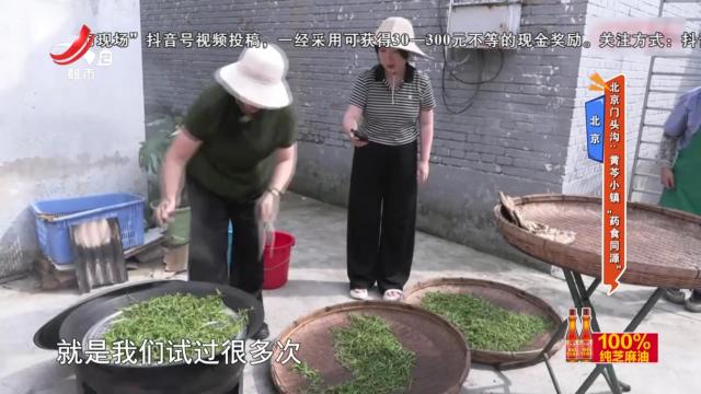 北京——北京门头沟：黄芩小镇“药食同源”