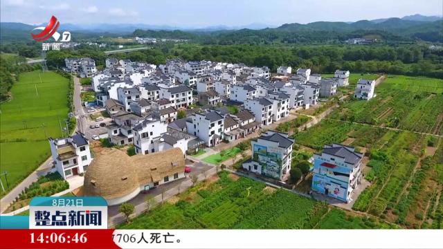 整点新闻20250821 14：00