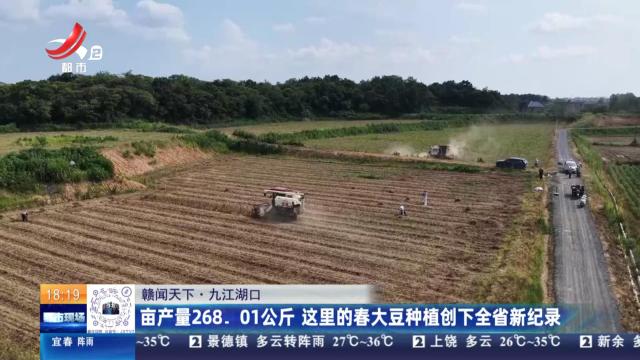 【赣闻天下】九江湖口：亩产量268.01公斤 这里的春大豆种植创下全省新纪录