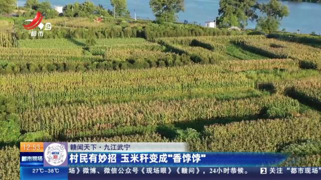 【赣闻天下】九江武宁：村民有妙招 玉米杆变成“香饽饽”