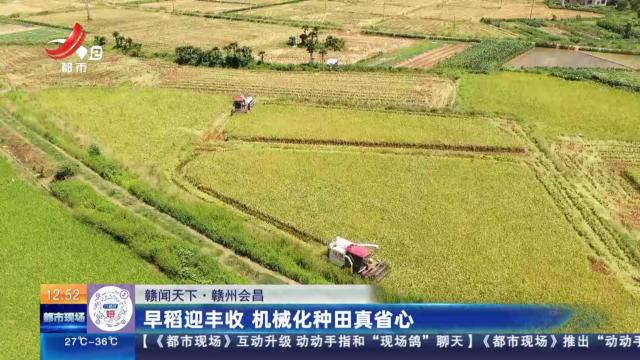 都市现场·午间版20250801