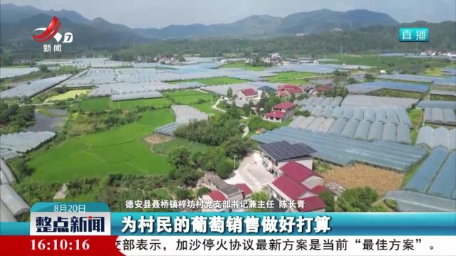 整点新闻20250820 16:00