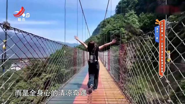 地宝当家20250806