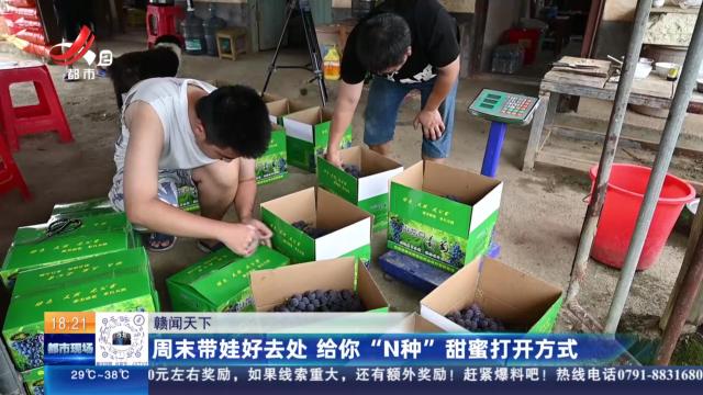 【赣闻天下】周末带娃好去处 给你“N种”甜蜜打开方式