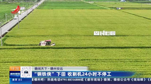 都市现场20250802