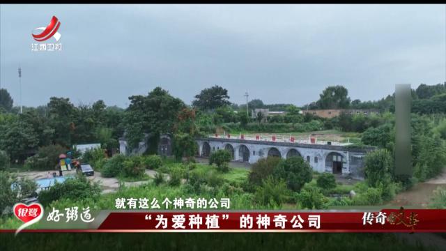 传奇故事20250805 “为爱种植”的神奇公司