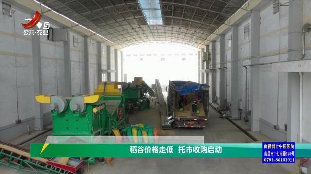 三农头条20250814