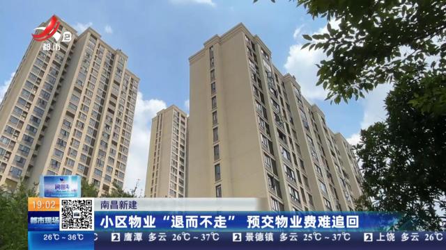 南昌新建：小区物业“退而不走” 预交物业费难追回