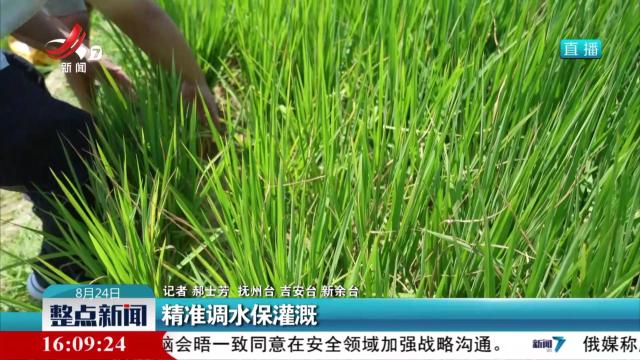 精准调水保灌溉