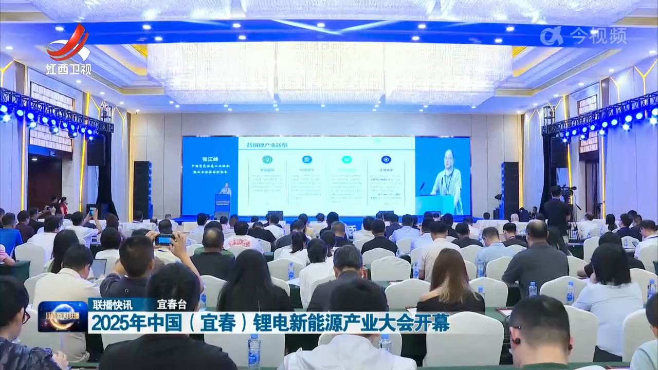 2025年中国（宜春）锂电新能源产业大会开幕