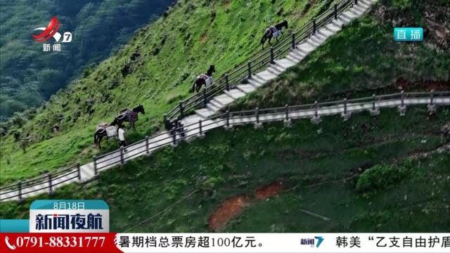 “无人机+高铁” 带农产品“飞”出大山