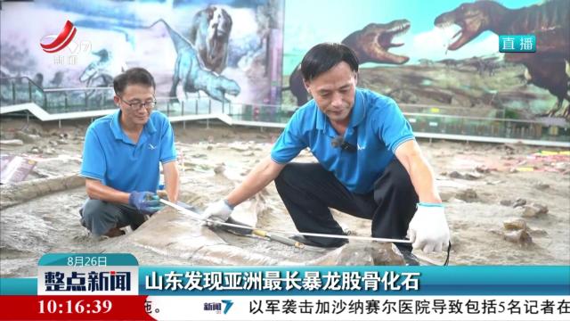 山东发现亚洲最长暴龙股骨化石