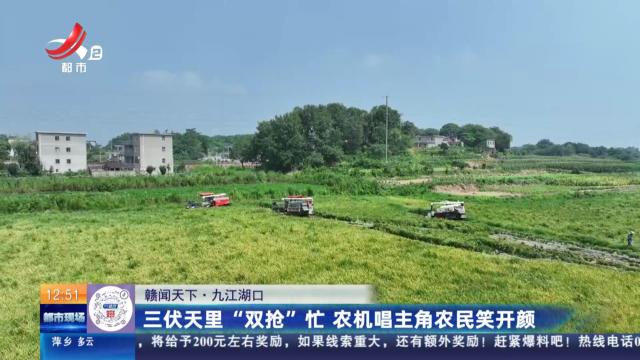 【赣闻天下】九江湖口：三伏天里“双抢”忙 农机唱主角农民笑开颜