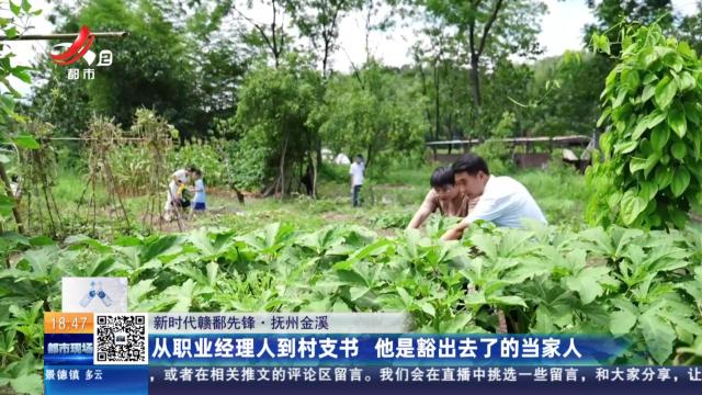 【新时代赣鄱先锋】抚州金溪：从职业经理人到村支书 他是豁出去了的当家人