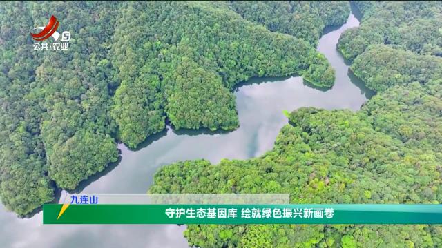 三农头条20250820
