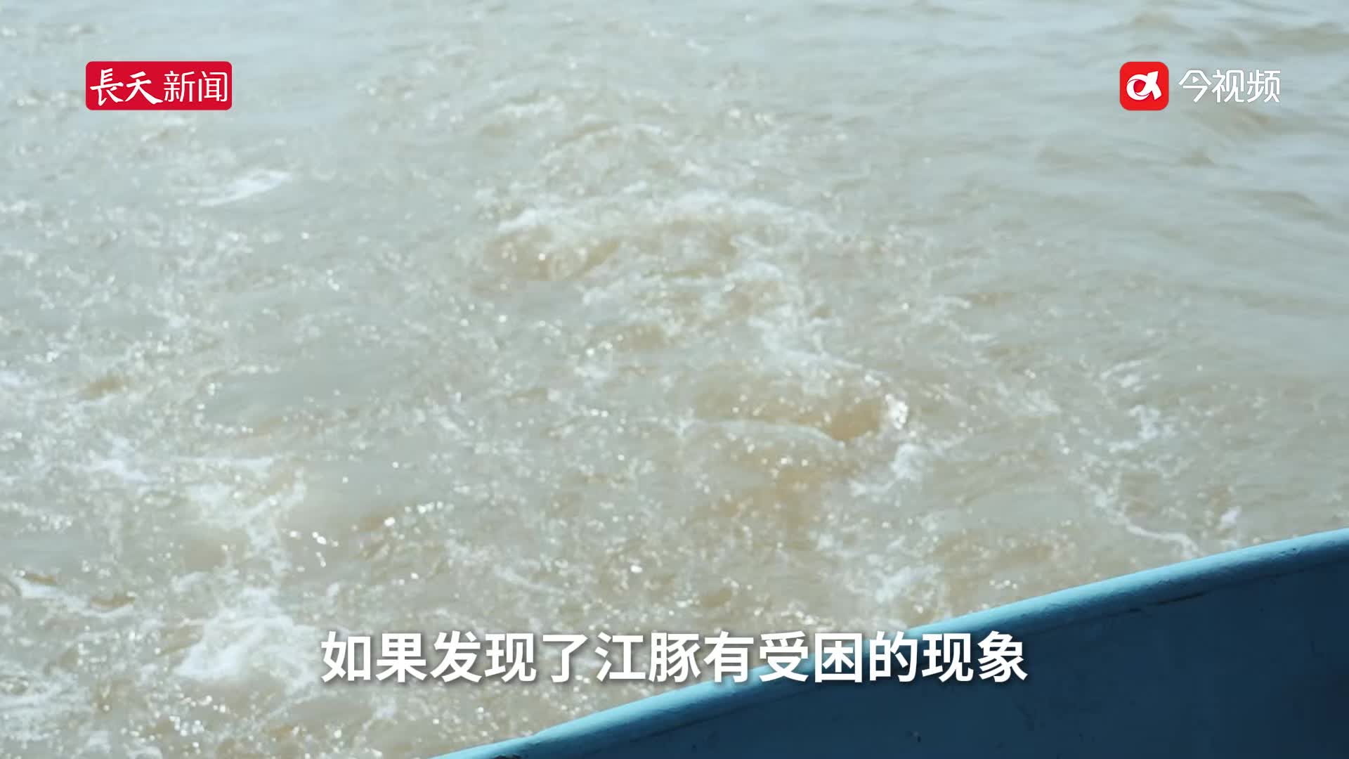 鄱阳湖进入枯水期 爱心企业助力护豚队巡护监测