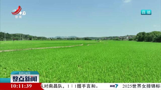 整点新闻20250824 10：00