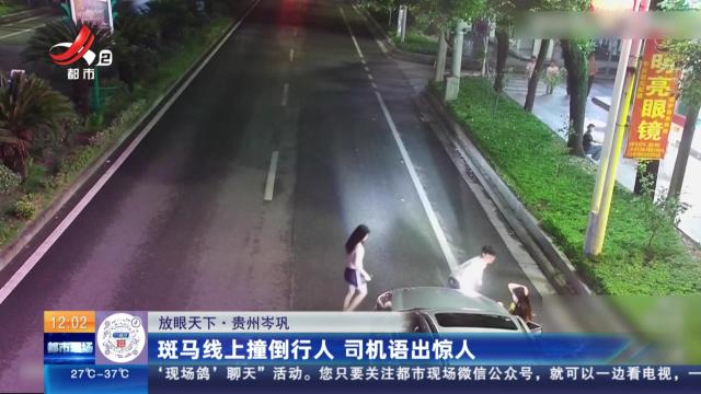 【放眼天下】贵州岑巩：斑马线上撞倒行人 司机语出惊人