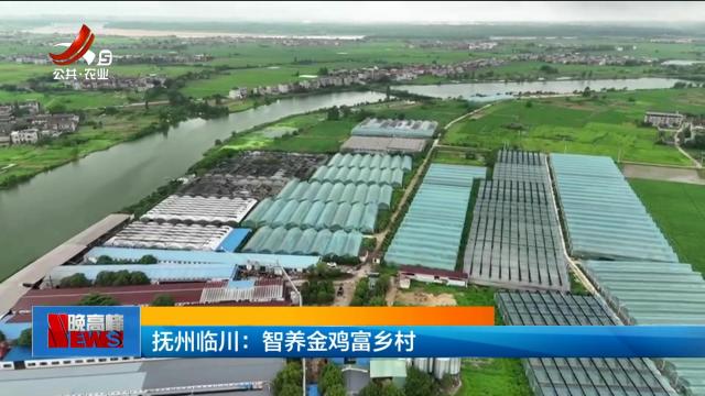 新闻晚高峰20250806