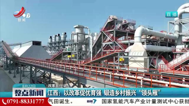 【改革在行动】江西：以改革促优育强 锻造乡村振兴“领头雁”