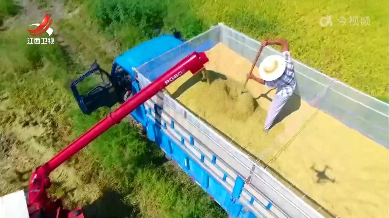 全省早稻实现面积总产单产“三提升”