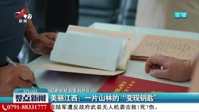 美丽江西：一片山林的“变现钥匙”