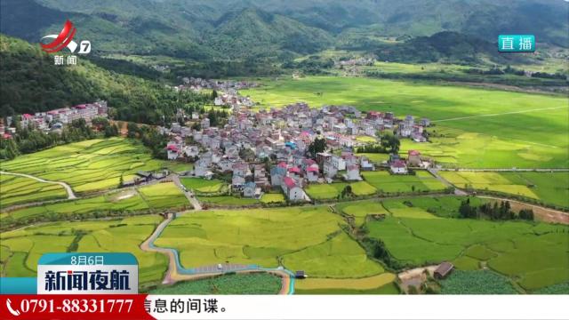 【一线调研】耕地下山林地上山 因地制宜良田粮用