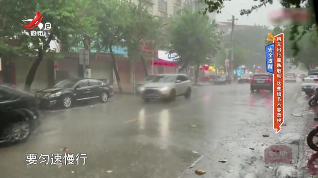 安全提醒——雨天出行需防触电 这些细节不容忽视