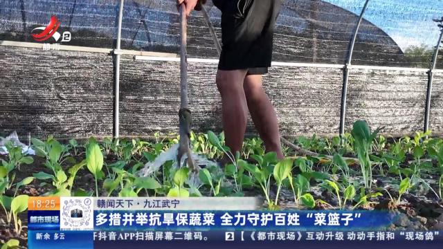 【赣闻天下】九江武宁：多措并举抗旱保蔬菜 全力守护百姓“菜篮子”