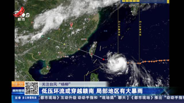 【关注台风“杨柳”】低压环流或穿越赣南 局部地区有大暴雨