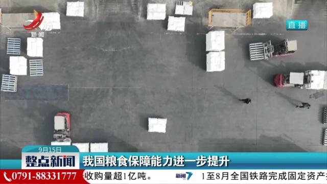 我国粮食保障能力进一步提升