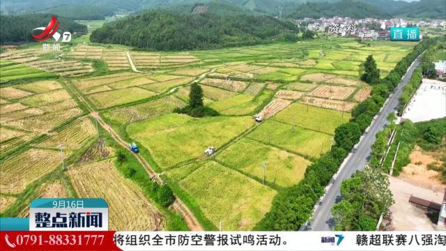 整点新闻20250916 12：00