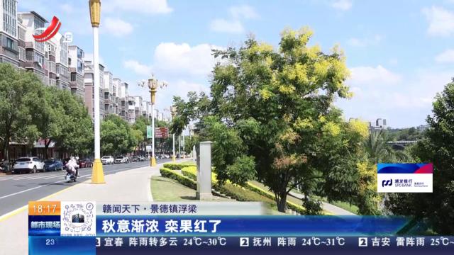 都市现场20250919