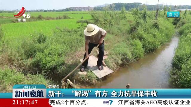 新干：“解渴”有方 全力抗旱保丰收