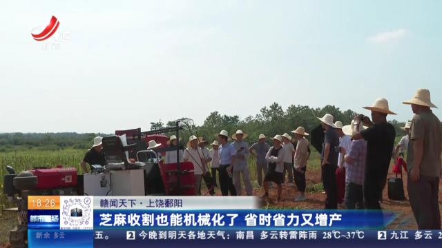 【赣闻天下】上饶鄱阳：芝麻收割也能机械化了 省时省力又增产