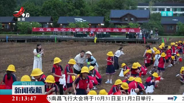 宜黄：“农耕课堂”成为“新乐园”
