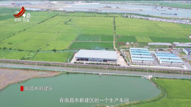 稻花香里20250909 乡村振兴进行时——“吃”进去稻杆“吐”出来肥料