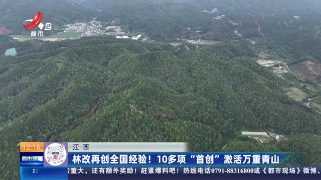 江西：林改再创全国经验！10多项“首创”激活万重青山