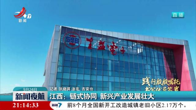 江西：链式协同 新兴产业发展壮大