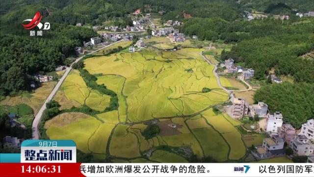 整点新闻20250907 14:00