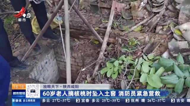 【放眼天下】陕西咸阳：60岁老人摘核桃时坠入土窖 消防员紧急营救